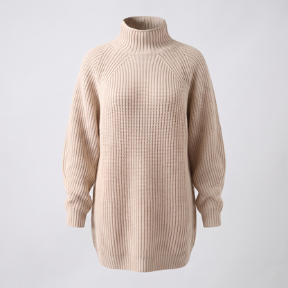 FLORIANA COSY ROLL-NECK DRESS