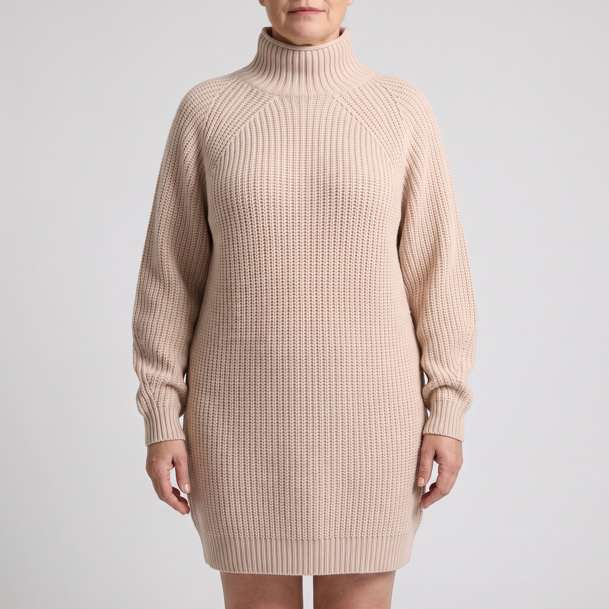 FLORIANA COSY ROLL-NECK DRESS