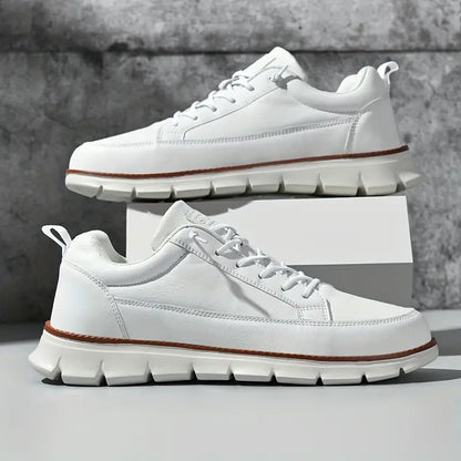 WHITMORE CLASSIC TRAINER