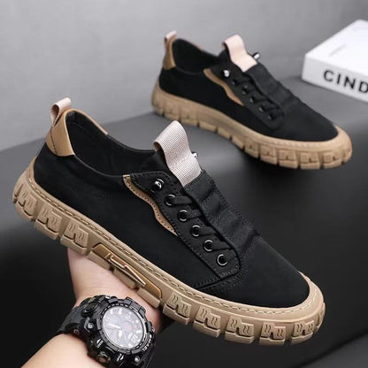 KINGSFELL TRAINER