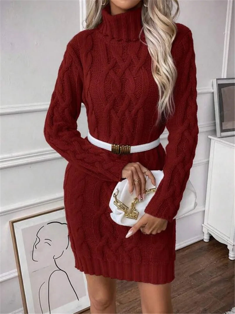 CABLE KNIT ROLL NECK DRESS